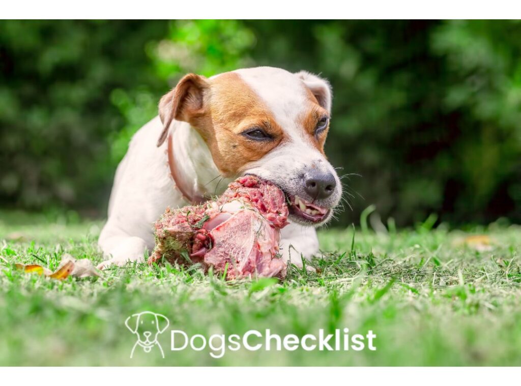 Can Dogs Eat Pork Shoulder Bone