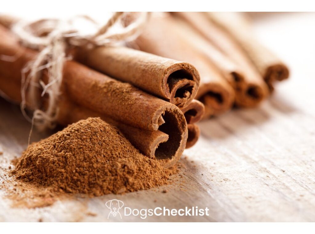 Can Dogs Eat Cinnamon
