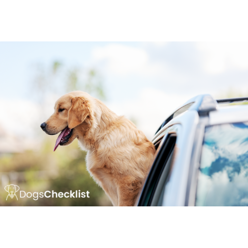 Understanding the reasons why do dogs pant in the car essential guide