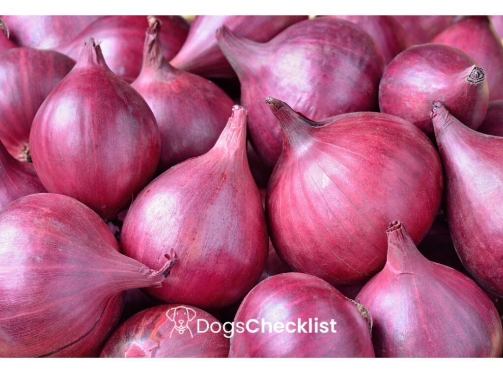 Can Dogs Eat Raw Onions
