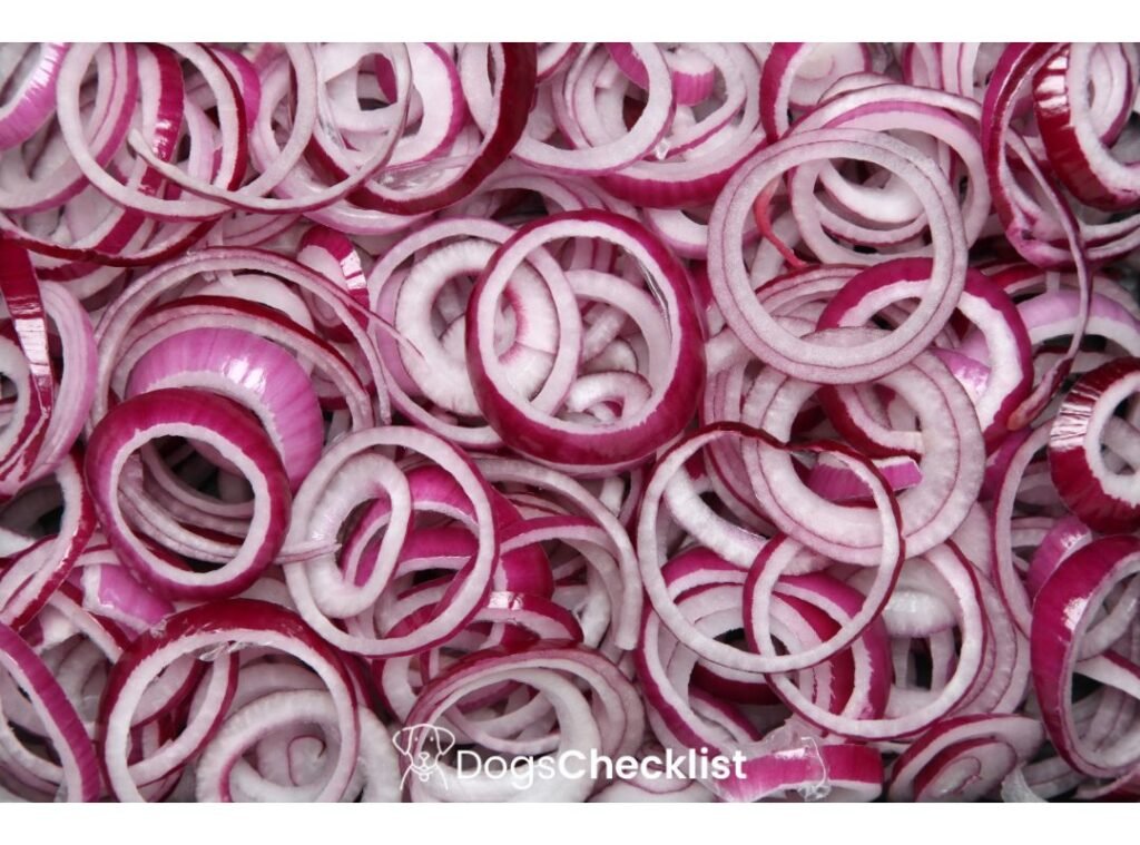 Can Dogs Eat Raw Onions?
