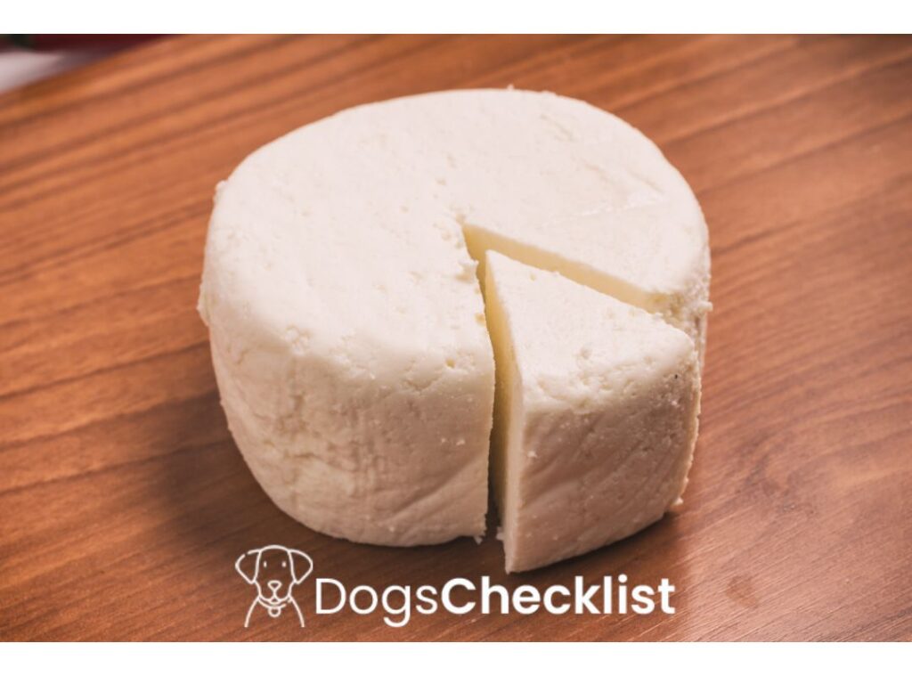 Can Dogs Eat Ricotta Cheese? 