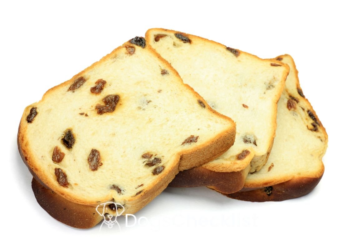 Can Dogs Eat Raisin Bread? Find Out - Dogschecklist.com