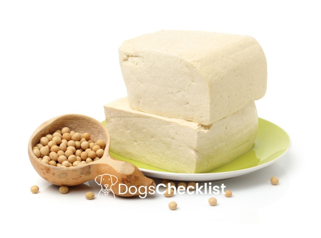 Can Dogs Eat Tofu? - Dogschecklist.com
