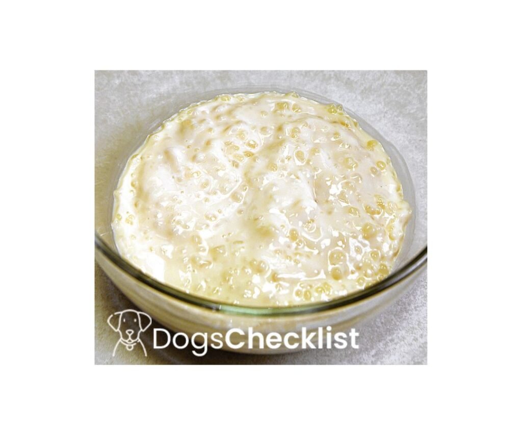 Can Dogs Eat Rice Pudding? Find Out