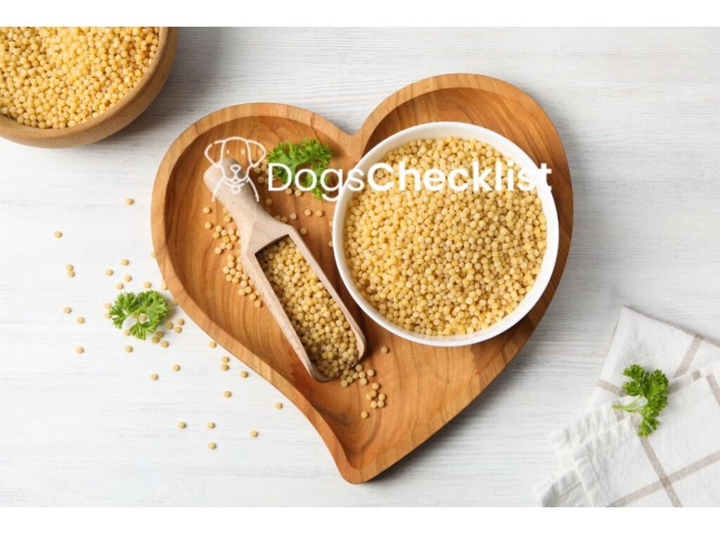 Can Dogs Eat Couscous? What You Should Know