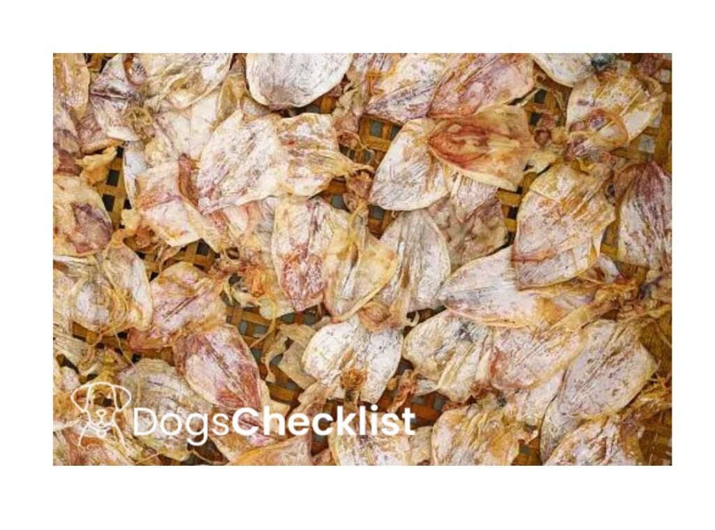 Can Dogs Eat Dried Squid? Find Out - Dogschecklist.com