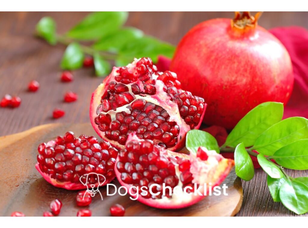 Can Dogs Eat Pomegranates
